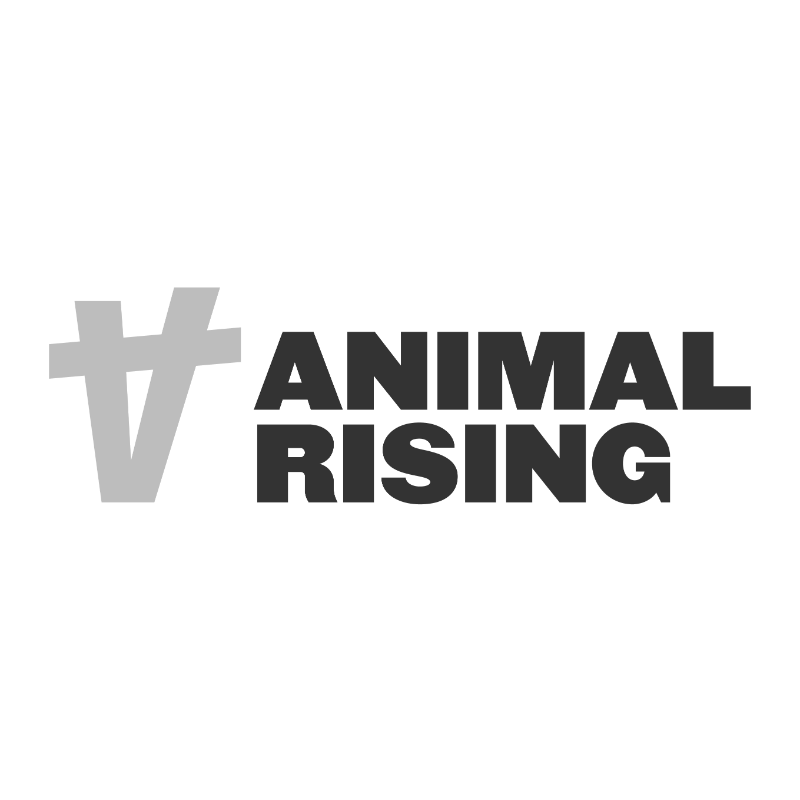 animal rising